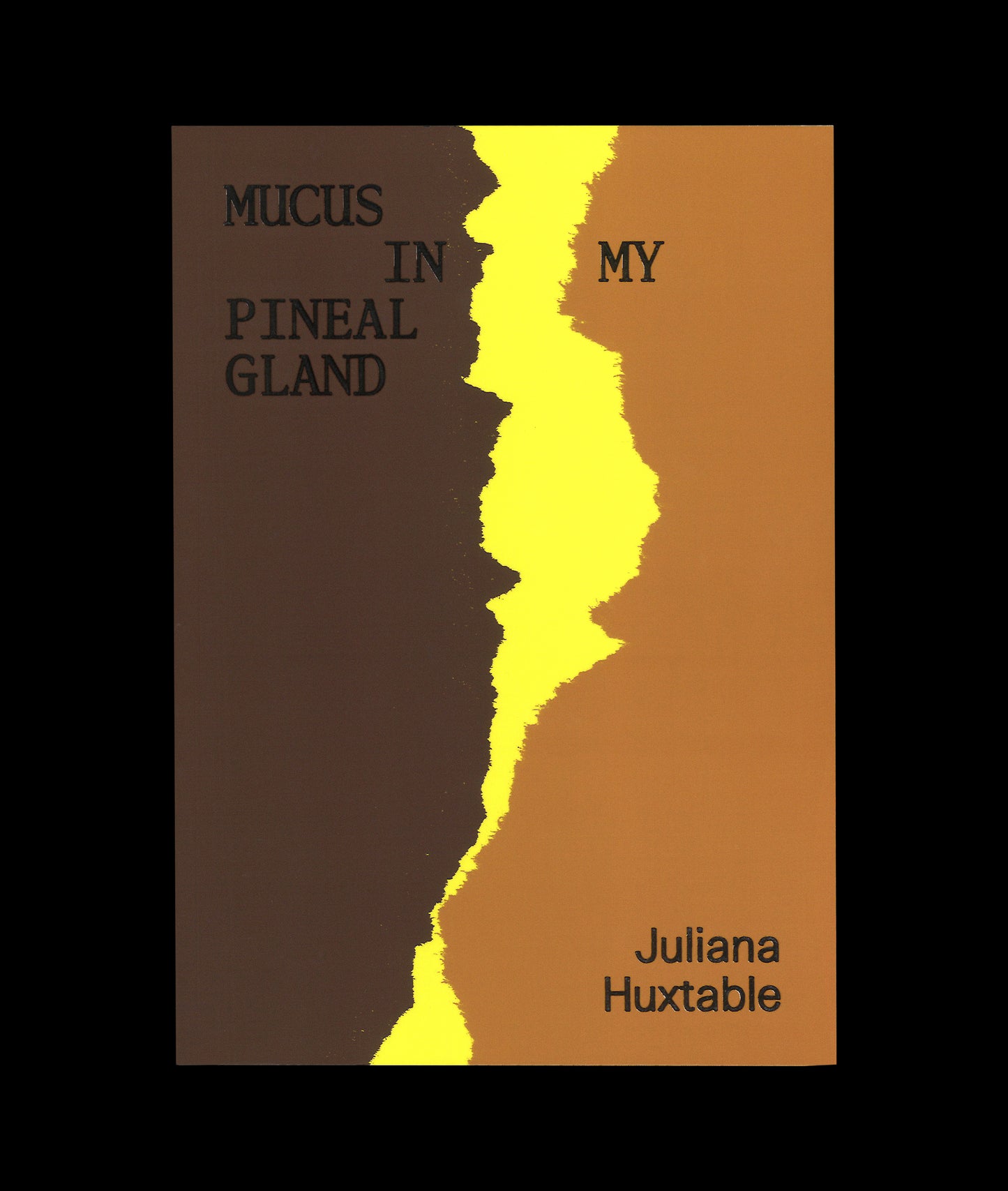 Mucus in my Pineal Gland by Juliana Huxtable