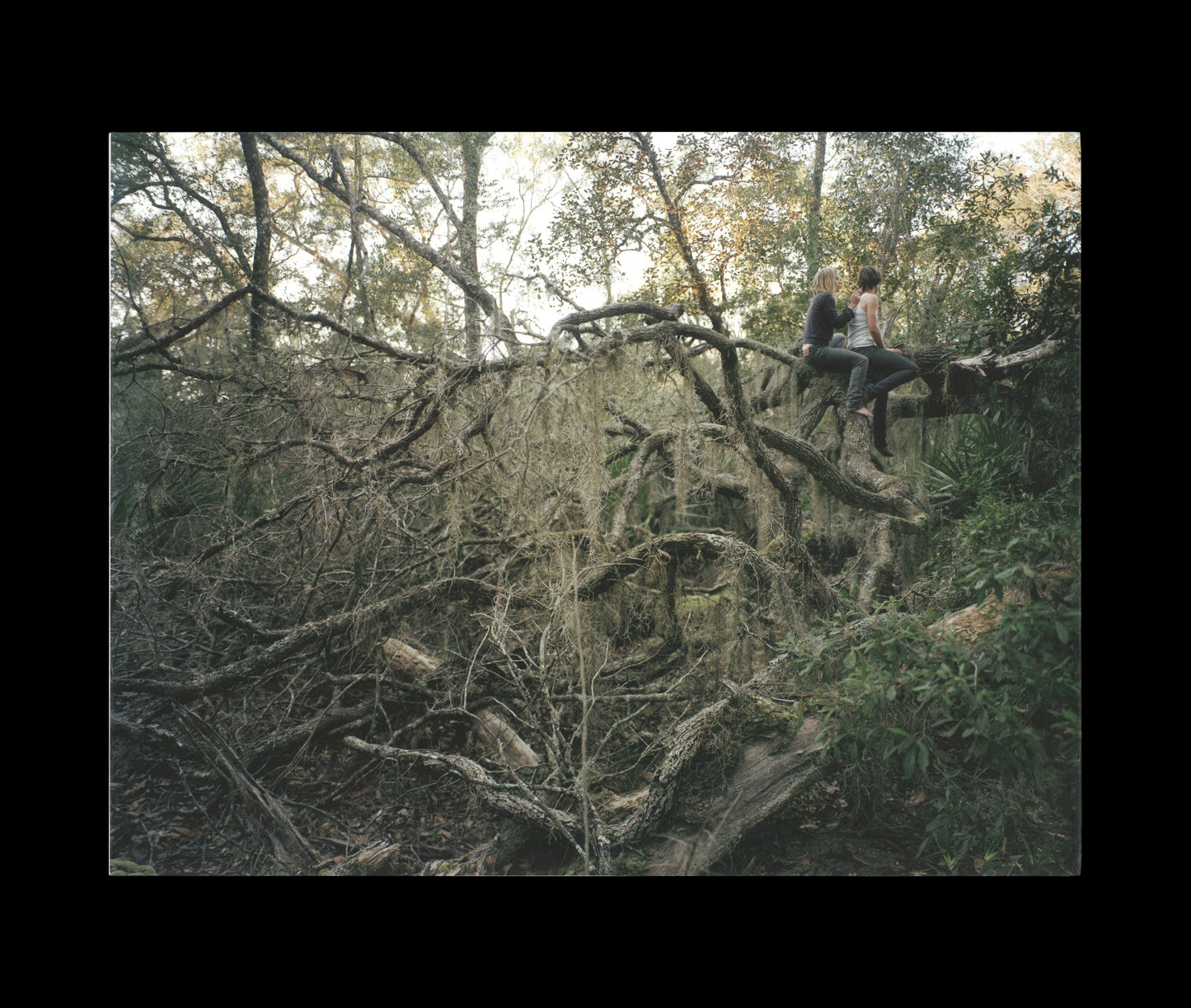 The Known World by Anne Hall and Sophie Mörner