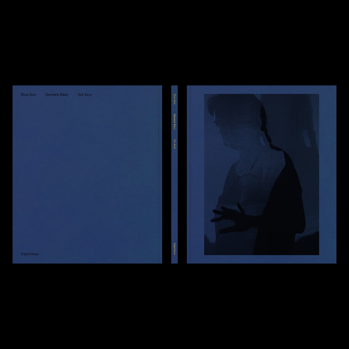 Blue Sun by Genesis Báez