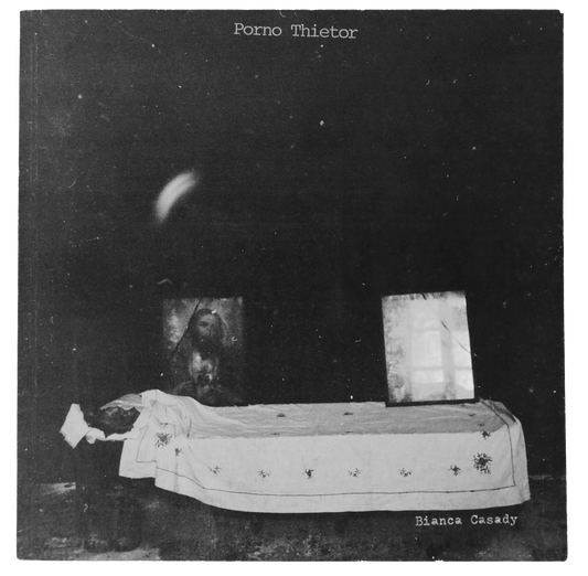 Porno Thietor by Bianca Casady